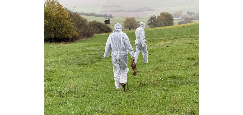 Verdacht Geflügelpest im Landkreis Kaiserslautern
