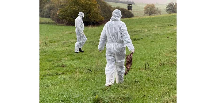 Verdacht Geflügelpest im Landkreis Kaiserslautern