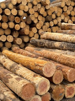 Landrat besucht Rettenmeier