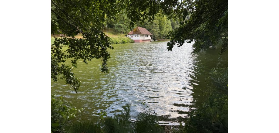 Bärenlochweiher Kindsbach