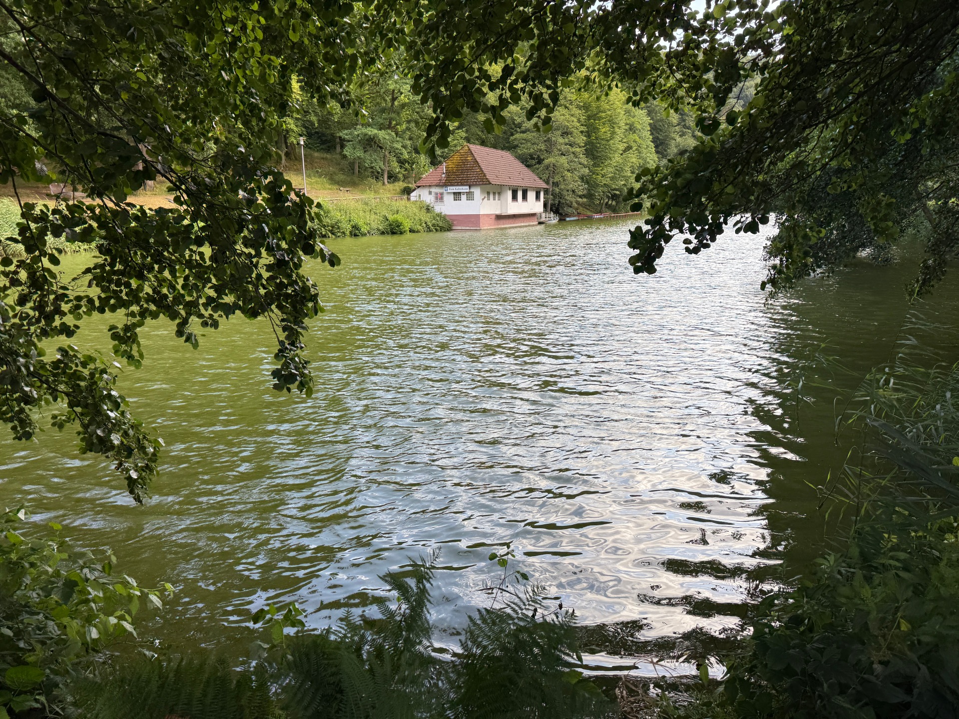 Bärenlochweiher Kindsbach