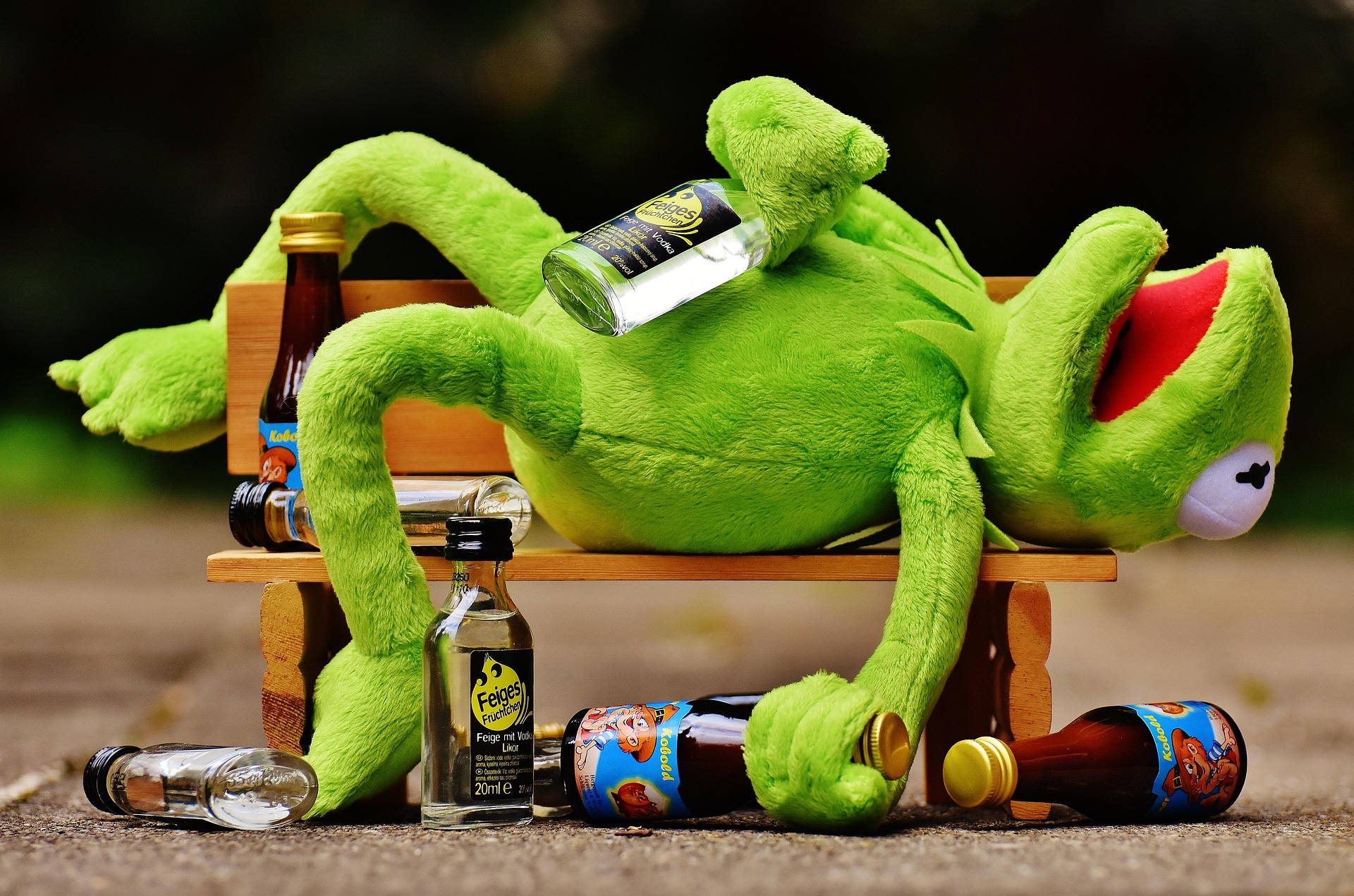 Kermit und Alkohol